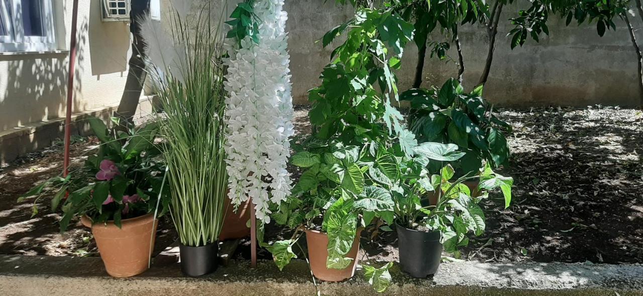 Marin I Vinka Apartment Trogir Luaran gambar
